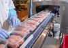 Packaged chicken breasts on a factory conveyor belt