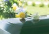 Yellow and white flowers on a green casket