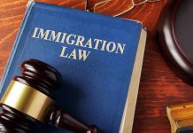 Blue immigration law book with wooden gavel