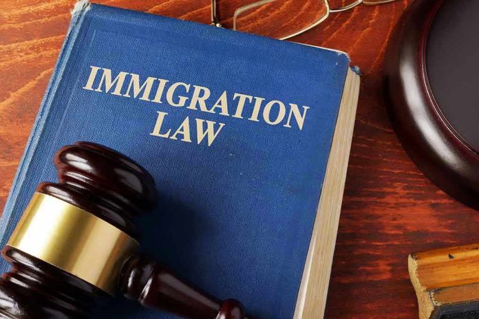 525426433 Blue immigration law book with wooden gavel