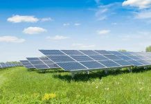 Solar panels in a grassy field under blue sky
