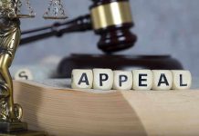 Blocks spelling appeal with gavel and balance scales